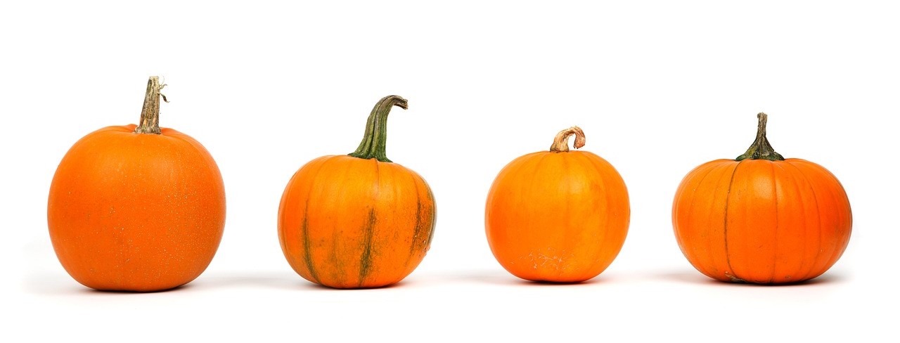 pumpkins